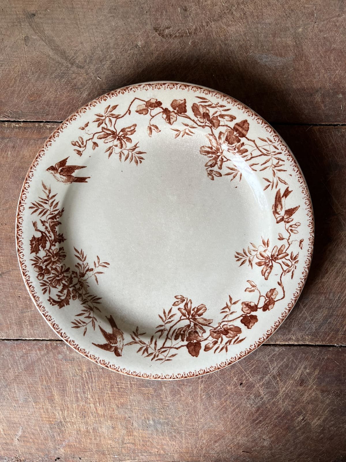 Antique Terre de Fer French Ironstone Plate | Sepia Florals